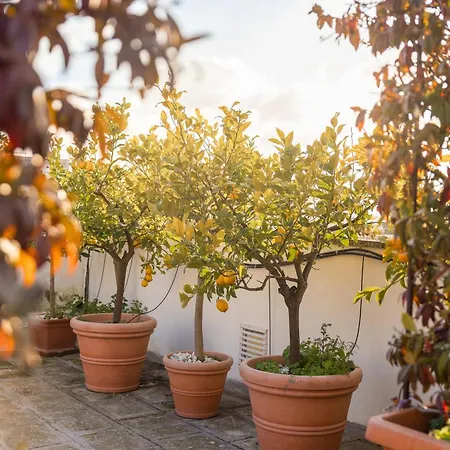 Bed & Breakfast Palazzo Savino Southern Italian Lifestyle - Epoca Collection *